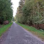 Am Drömling Südheide - Gerda Bergfeld