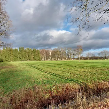 Am Droemling Suedheide - Gerda