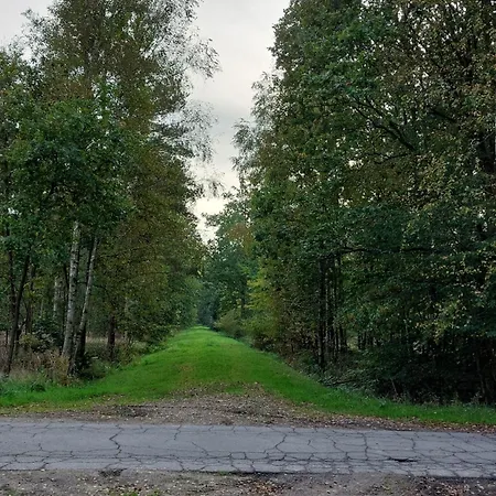 Appartement Am Droemling Suedheide - Gerda