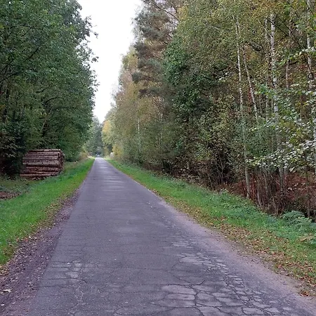 Am Droemling Suedheide - Gerda Bergfeld