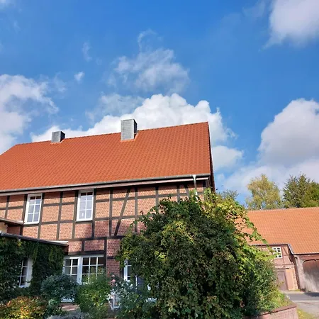 Am Droemling Suedheide - Gerda Bergfeld