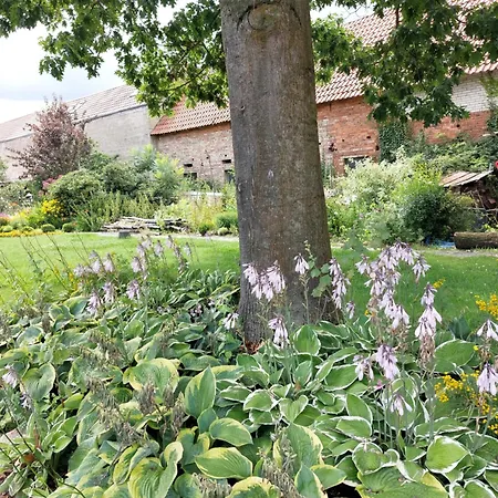 Appartement Am Droemling Suedheide - Gerda *