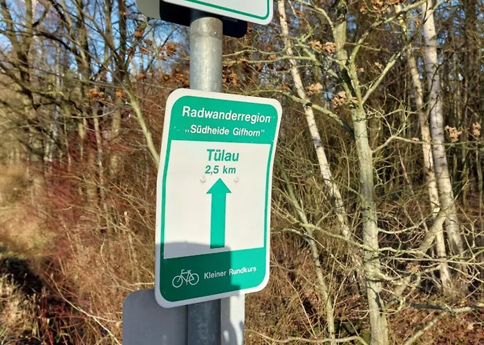 Am Droemling Suedheide - Gerda Bergfeld