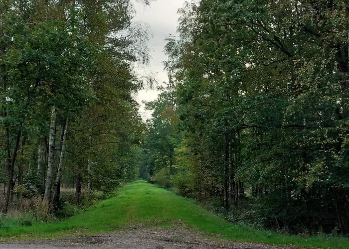 Appartement Am Droemling Suedheide - Gerda