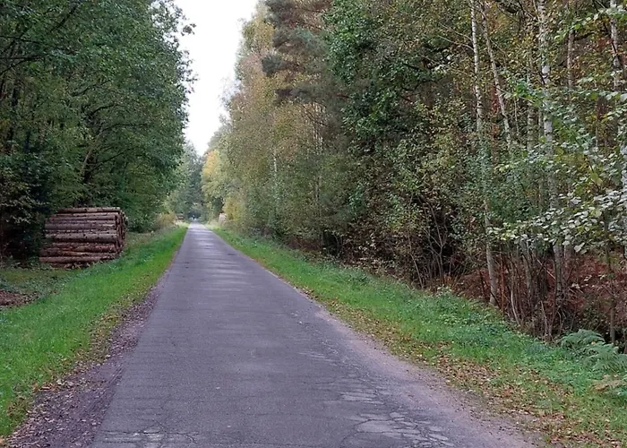 Am Droemling Suedheide - Gerda Bergfeld
