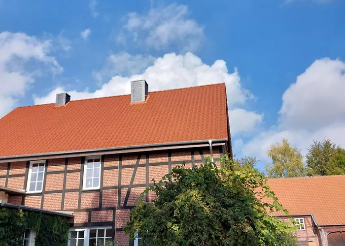 Am Droemling Suedheide - Gerda Bergfeld